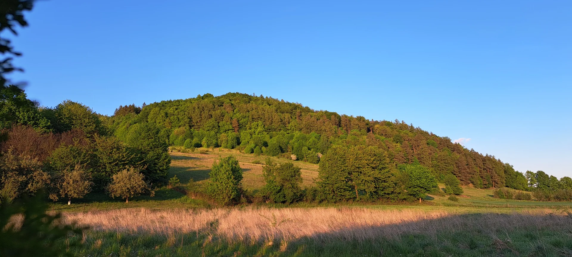 Domek pod Sosnową Górą 2, Lato, Słońce, Wakacje, Noclegi Żelazno, Kotlina Kłodzka, Góry, Sudety, Wypoczynek